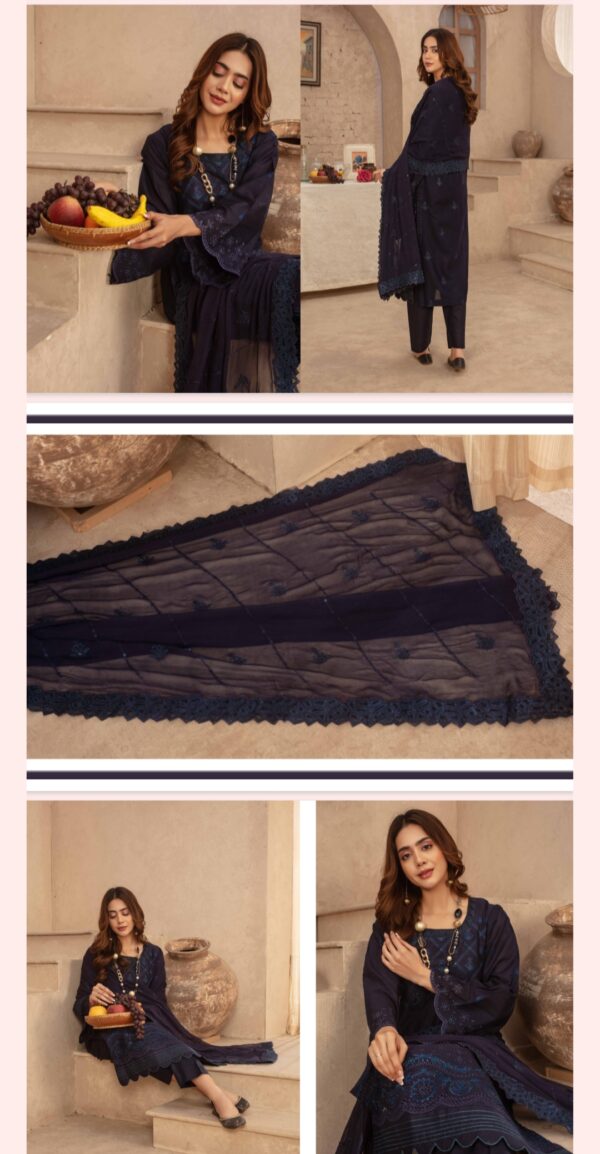 Jashan By Zara Meer Lawn (Un Stitched) 3 Piece, Vol 173, New Collection 2025. - Image 13