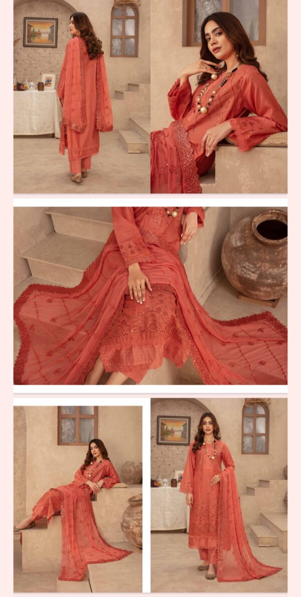 Jashan By Zara Meer Lawn (Un Stitched) 3 Piece, Vol 173, New Collection 2025. - Image 10