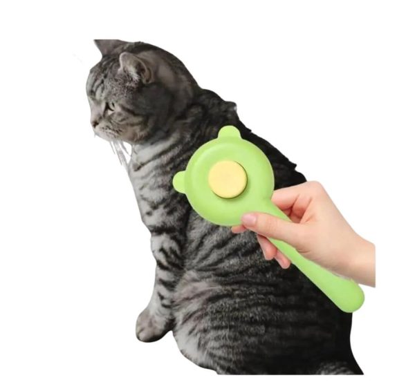 Bear/ Cat  Face Self Cleaning Brush For Pets - Image 4
