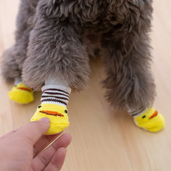 Dogs Anti Slip Socks, Pet Knits Socks, Cute Cartoon Dog Socks. - Image 5