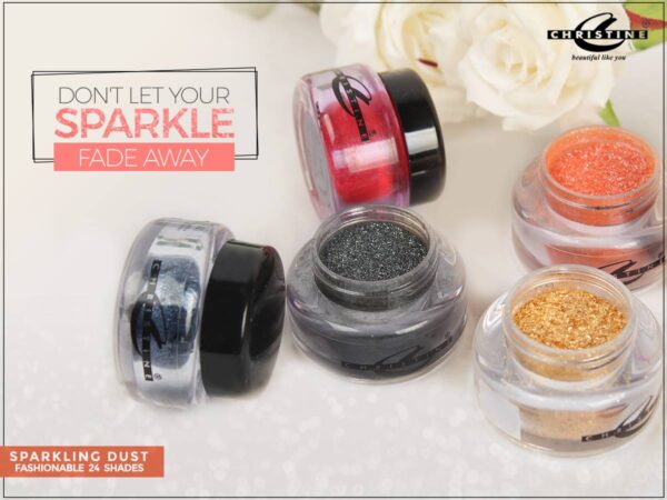 Christine Sparkling Dust Eye Shade - 24 Beautiful Shade Shades