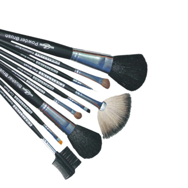 Christine Professional Makeup Small Brush Kit Set - 9 Pieces - Image 3