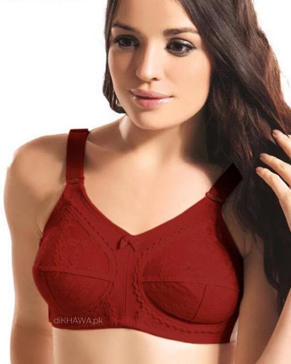 Flourish Disclosure Maroon Color Bra - Image 2