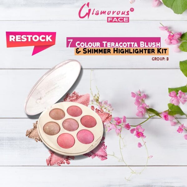 Glamorous Face 7 Color Tera Cotta Blush On Shade Kit - Group B