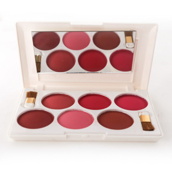 Rivaj UK 6 In 1 Dome Blush On Kit (Group 02)