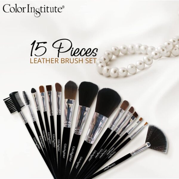 Color Institute Professional 15 Piece Leather Brush Set