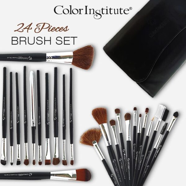 Color Institute Professional 24 Piece Leather Brush Set