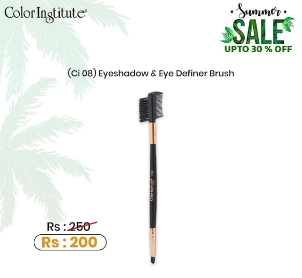 Color Institute Eyeshadow & Eye Definer Brush CI-08