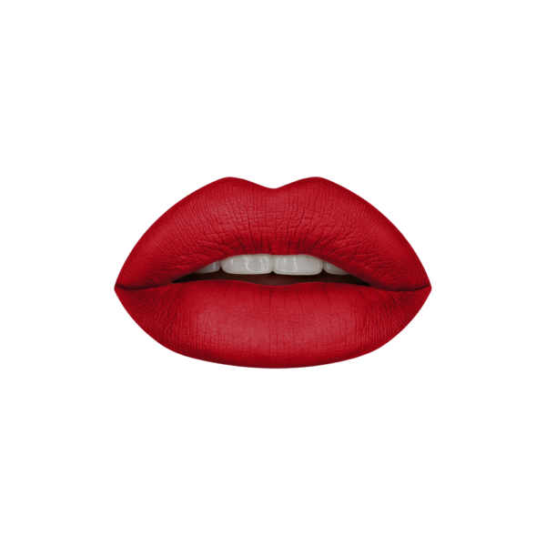Aqua Color line Super Stay Matte Lipstick - Shade No 308