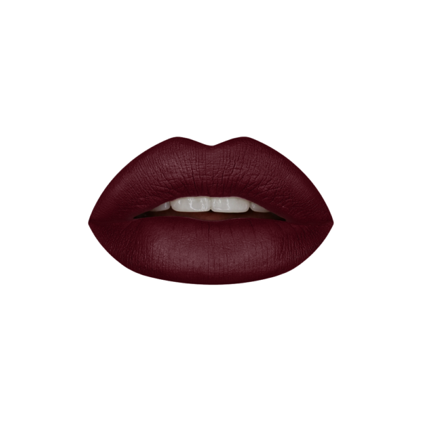 Aqua Color line Super Stay Matte Lipstick - Shade No 316