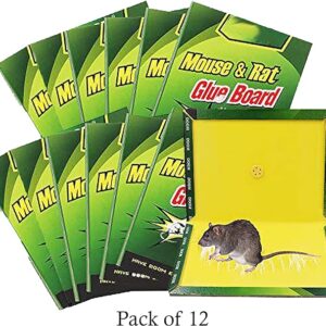 Pasban Mouse Traps Glue Traps (Pack of 4) for Mouse Pests Rodents for home office etc
