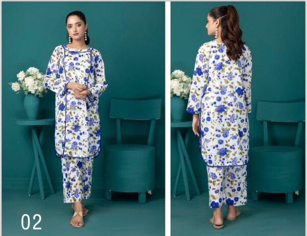 Identic Allover 2 pieces Separates Lawn Collection VOL-1 2024 By Regalia Textile (Unstitched) - Image 4