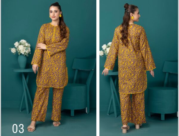 Identic Allover 2 pieces Separates Lawn Collection VOL-1 2024 By Regalia Textile (Unstitched) - Image 3