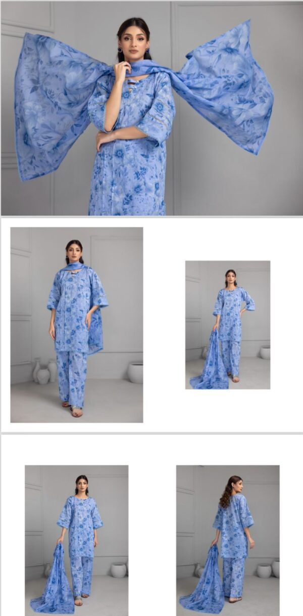 IDENTIC SEPARATES LAWN Collection Vol18 2024 BY REGALIA TEXTILE 3 PIECE (UNSTITCHED) - Image 2