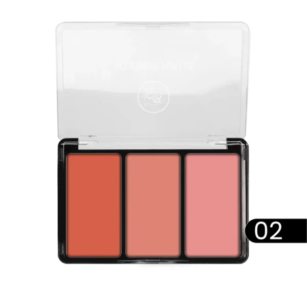 RIVAJ Blush Forever Blush Powder(AVAILABLE IN 12 SHADES IN 4 PALETTES) - Image 3