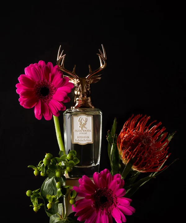 PANA DORA SWEDEN Dorasima Eau de Parfume 100 ML: - Image 2