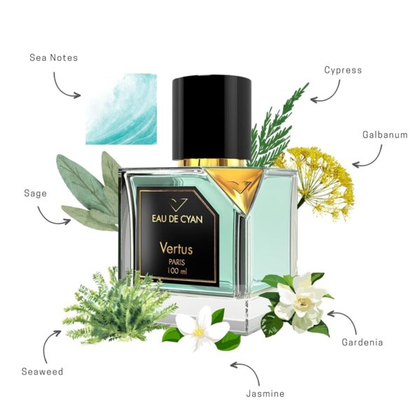VERTUS Eau de Cyan by Vertus Paris Unisex Eau de Parfum (EDP) 100/3.4oz - Image 4