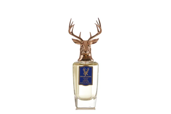 Pana Dora Sweden Aqua De Dora Eau De Parfum 100 ML | Sweden | Fragrance For Men. - Image 3