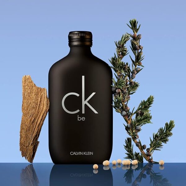 CK Be by Calvin Klein for Unisex - Eau de Toilette, 100 ML. - Image 2