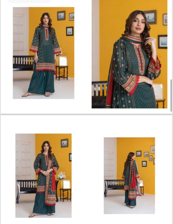 Regalia Salina Digital Printed Lawn Volume 25 (2024) Collection. 3 Piece Suits Unstitched. - Image 8