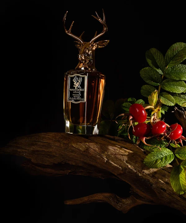 Pana Dora Sweden Swedish Wood extrait de parfum 100 ml - Image 4