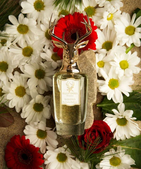 PANA DORA SWEDEN Dorasima Eau de Parfume 100 ML: - Image 5