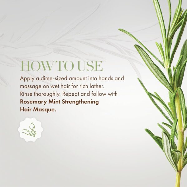 Mielle - Rosemary Mint Hair Strengthening Shampoo - 355ml - Image 4