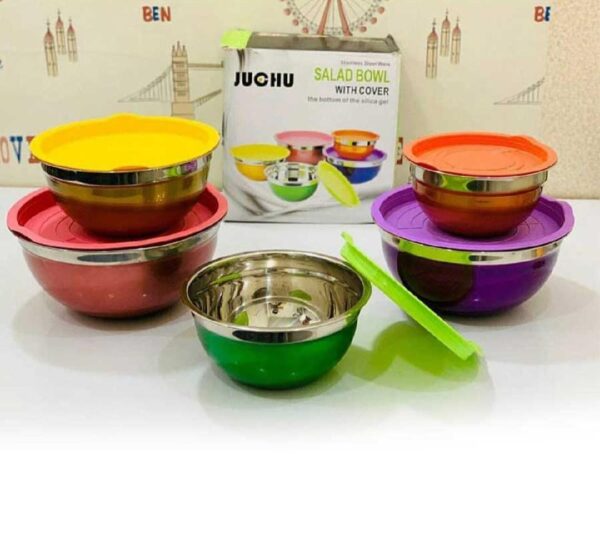 Stainless Steel Full Colorful Bowls for mixing and Serving 5 Pcs. with Silicone Lids