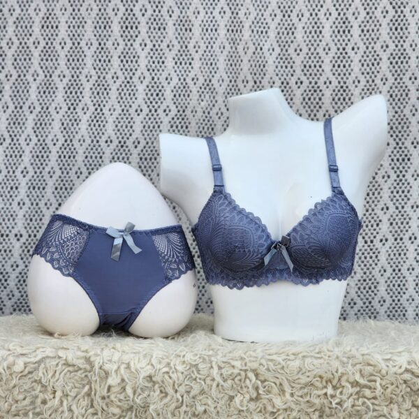 High Quality Bra & Brief Sets Sexy Push Up Bra & Lingerie(32 to 42 Sizes)(Red, Green, Blue)