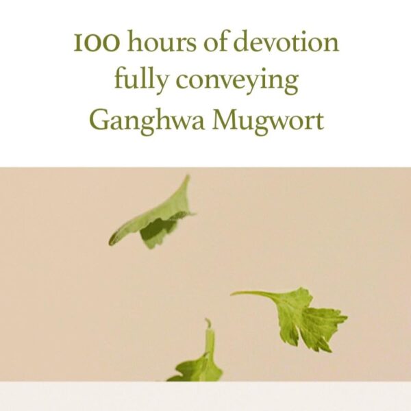 I'm from Mugwort Gel Cleanser 150ml, Mugwort 60%, Calming, Soothing, Mild low pH Korean Face Wash for Sensitive Skin, Irritated Skin, Herbal, Hypoallergenic, Vegan - Image 2