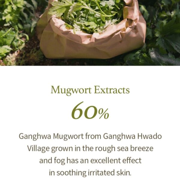 I'm from Mugwort Gel Cleanser 150ml, Mugwort 60%, Calming, Soothing, Mild low pH Korean Face Wash for Sensitive Skin, Irritated Skin, Herbal, Hypoallergenic, Vegan - Image 4