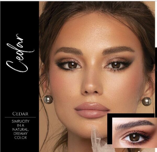 Bella One Day Cedar Contact Lenses.