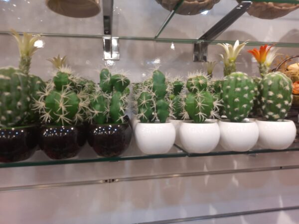 Artificial Plant Corrosion-resistant Small Potted Faux Cactus