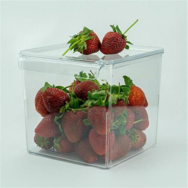 Primanova Refrigerator Organizer with CoverM-E73-10-16 Transparent 165*178*160 MM: