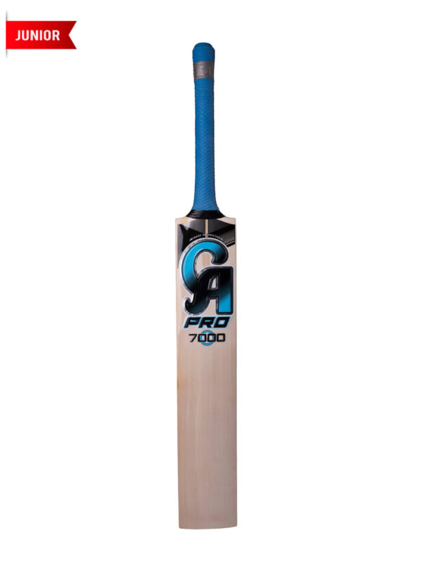 CA PRO Bat 7000 (Junior Hard Ball Bat).