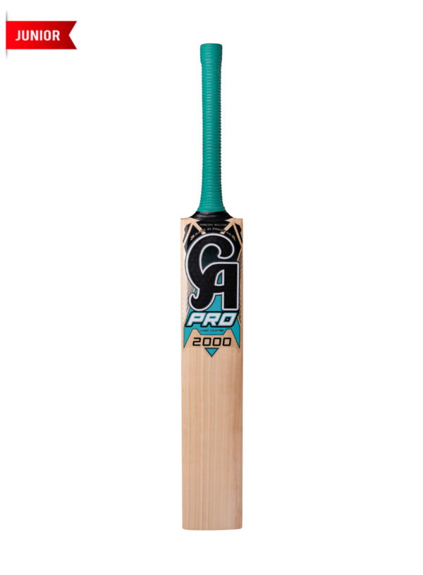 CA BAT PRO 2000 (Junior Hard Ball Bat).