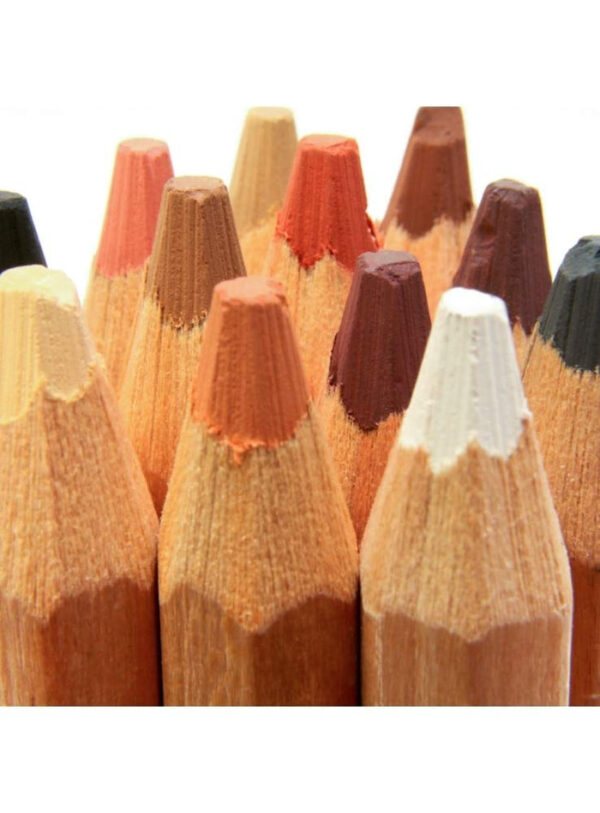 Mont Marte Skin Tints Pastel Jumbo Pencils Set of 12 - Image 4
