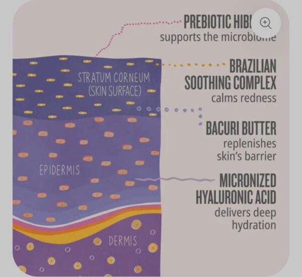 Sol de Janeiro Delícia Drench Body Butter/Body Cream - Image 3