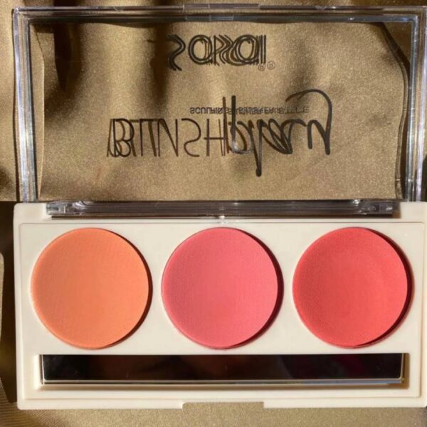 Sasa 3in1 Blush And Highlighter Palette - Image 3
