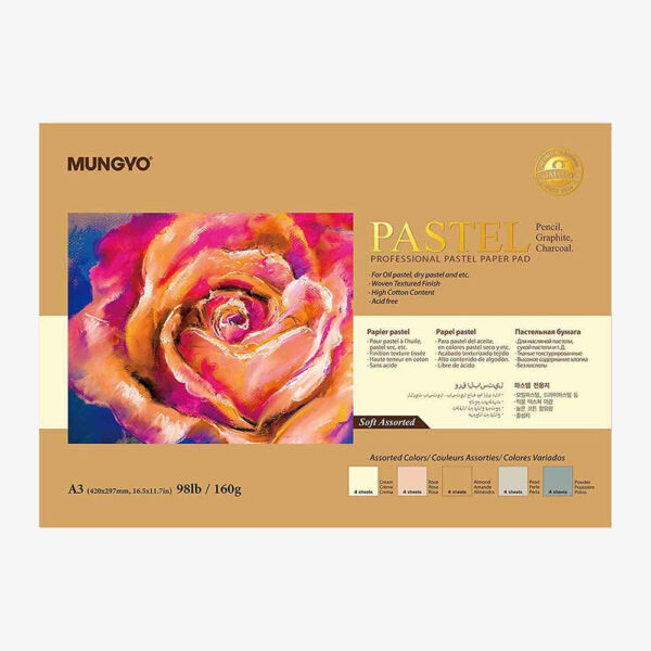 Mungyo Professional Pastel Paper Pad Soft Assorted Size A3.