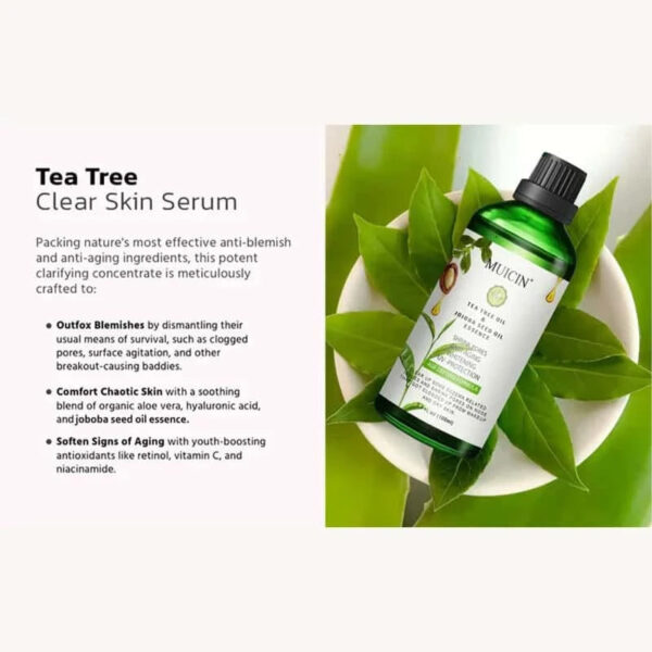 MUICIN Tea Tree & Jojoba Oil Essence. - Image 6