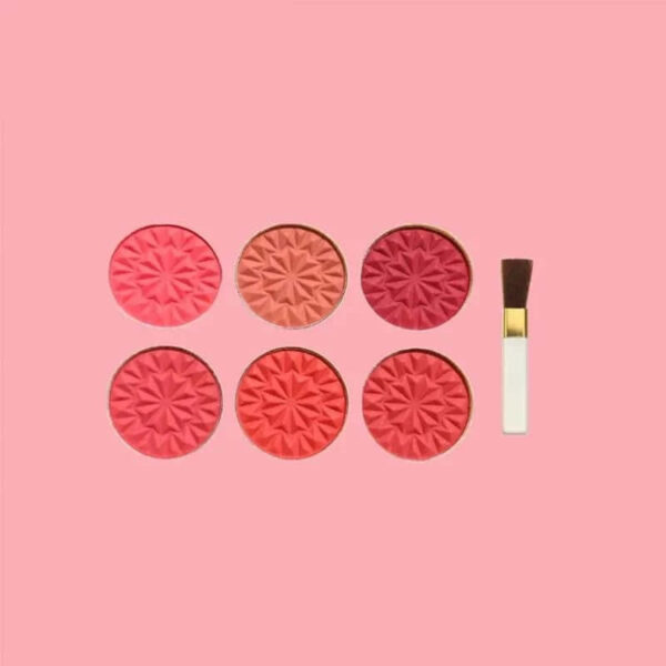 MUICIN Fashion Design Matte Blusher & Eyeshadow Kit, 6 Colors, Versatile Beauty. - Image 3