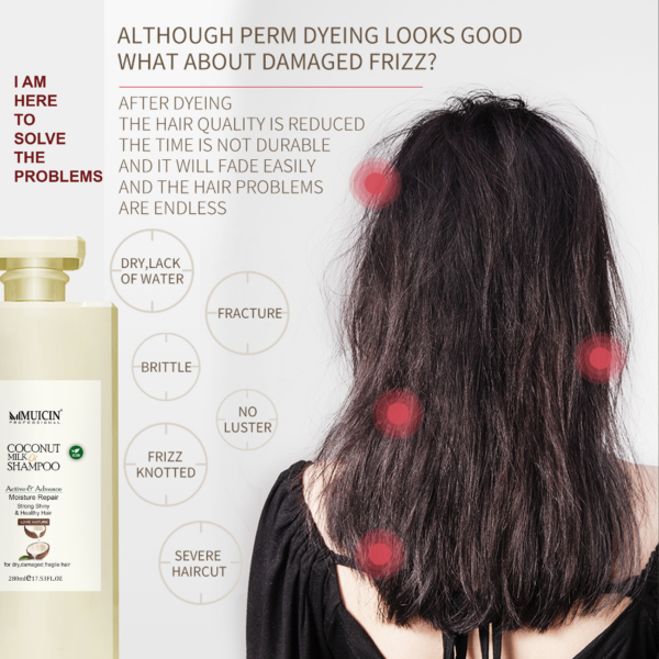 MUICIN-Coconut Milk Hair Shampoo-280ml - Image 4