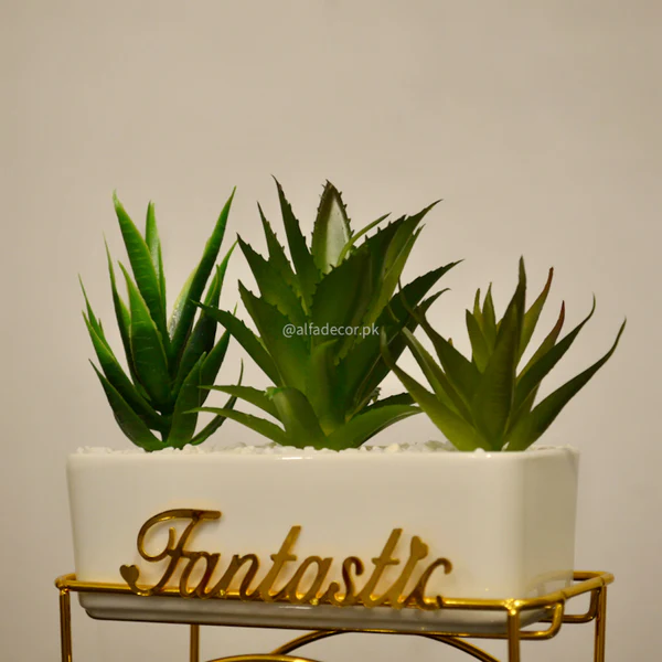 Fantastic Succulent Trio in Golden Stand - Image 4