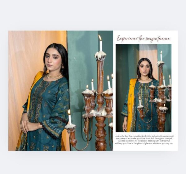 CHASHNI COLLECTION  By BMF Vol # 1320 (Unstitched).New Collection 2025. - Image 27