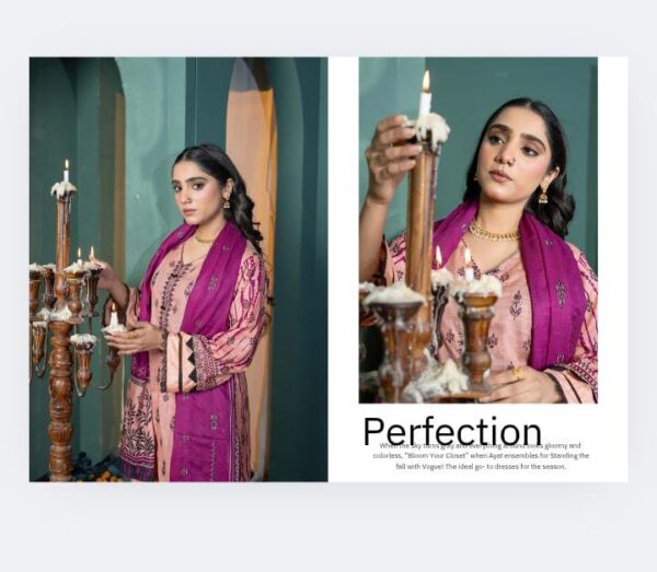 CHASHNI COLLECTION  By BMF Vol # 1320 (Unstitched).New Collection 2025. - Image 25