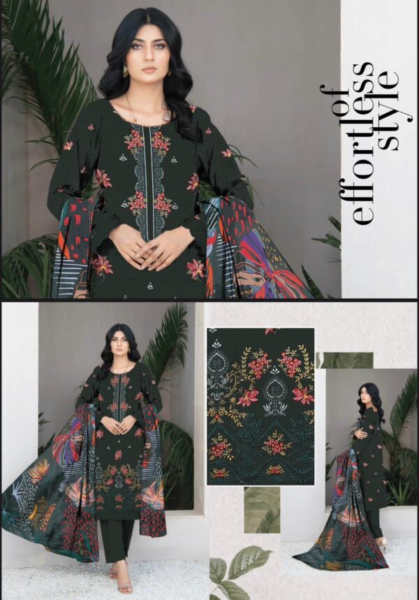 SHANZAY Luxurious Embroidered BANA DORA LAWN Collection By Habib Faisal Arts (Unstitched) 3 Piece, Vol 2024, New Collection 2025. - Image 8