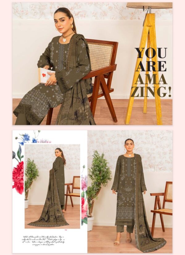 FARIA Premium Embroidered Bana Dora Lawn Collection By Habib Faisal Arts (Un Stitched) 3 Piece, Vol 4168, New Collection 2025. - Image 10