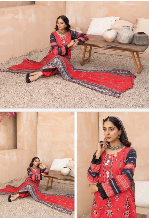 Palwasha by Areeba Arts Vol # 05 Rimsha By Palwasha  3 piece lawn unstitch 2025 collection - Image 6