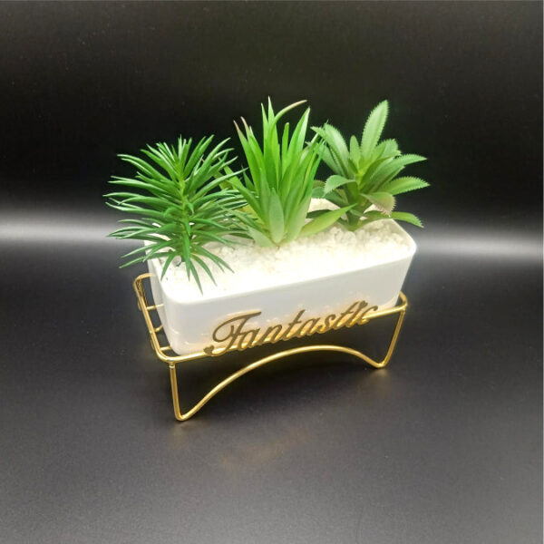 Fantastic Succulent Trio in Golden Stand - Image 2